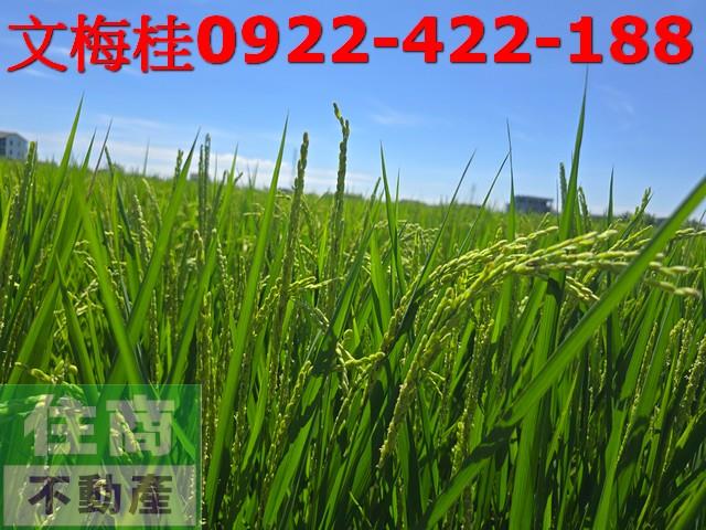 宜蘭農地-2