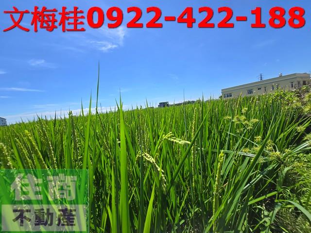 宜蘭農地-3