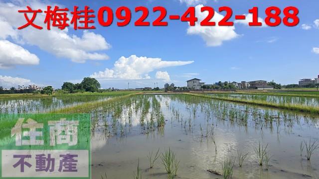 宜蘭宜蘭市農地-1