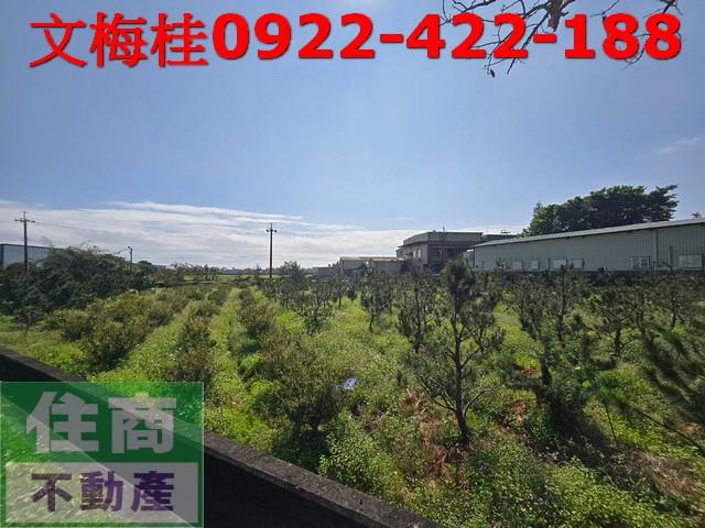 宜蘭頭城農地-4