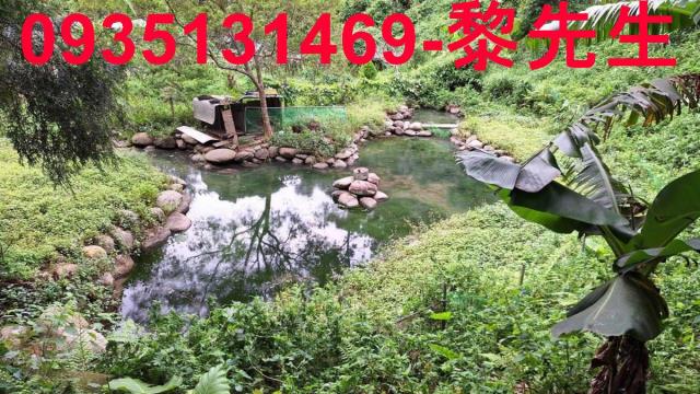 苗栗三灣農地-10
