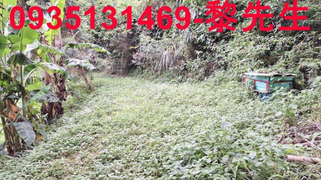苗栗三灣農地-11