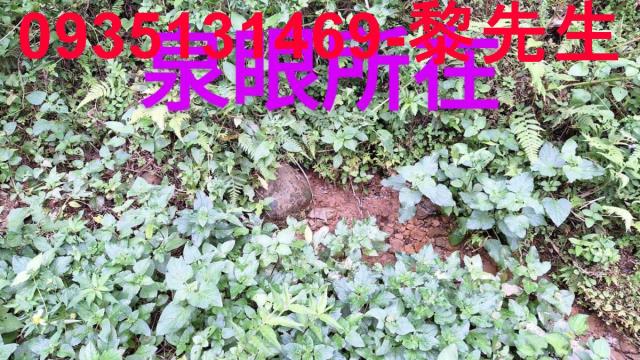 苗栗三灣農地-14