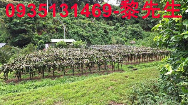 苗栗三灣農地-2