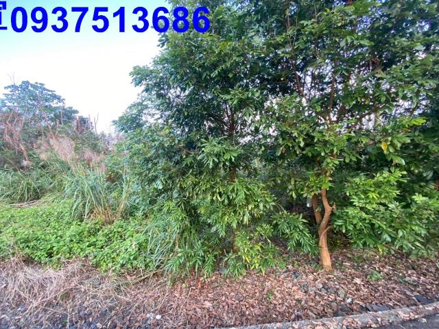 宜蘭冬山農地-4