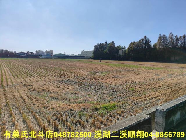 秀水農地-5