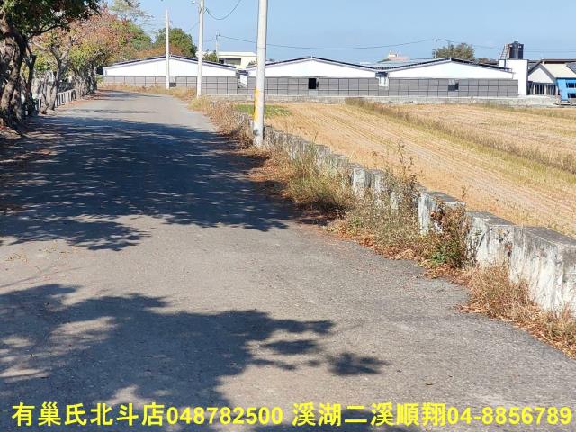 秀水農地-9