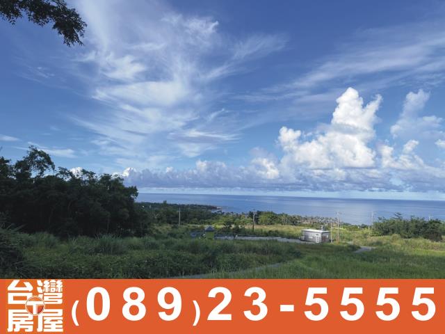 台東成功農地-10