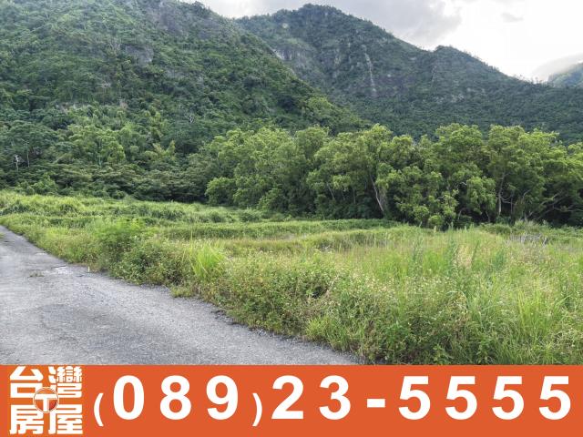 台東成功農地-11