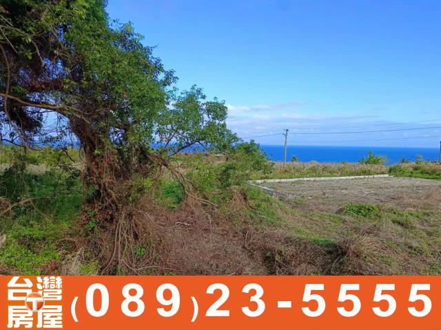 台東成功農地-2