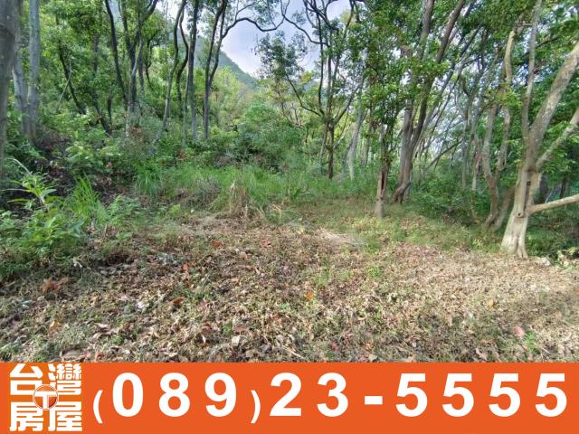 台東成功農地-3