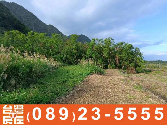 台東成功農地-6