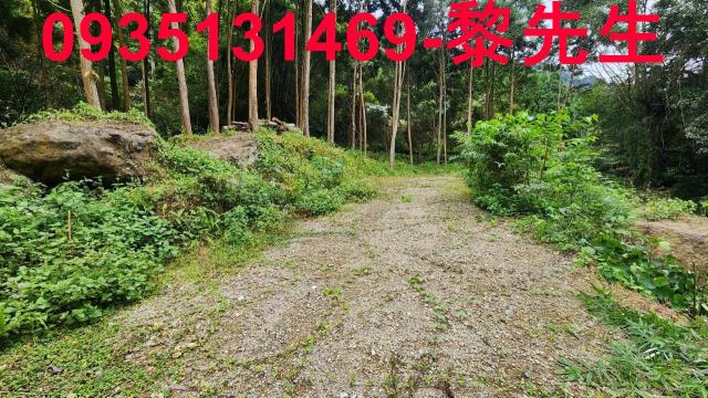 新竹農地-1