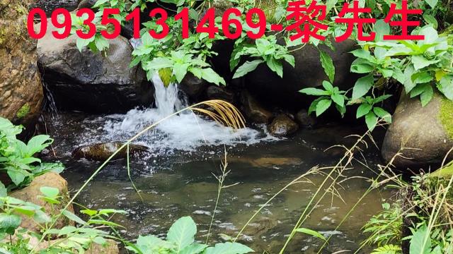 新竹農地-12
