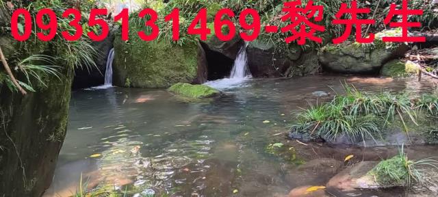 新竹農地-14