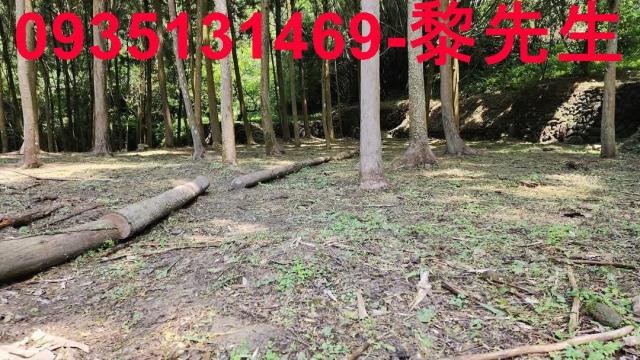新竹農地-4