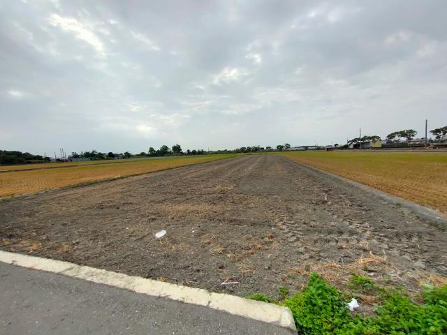 埤頭農地-6