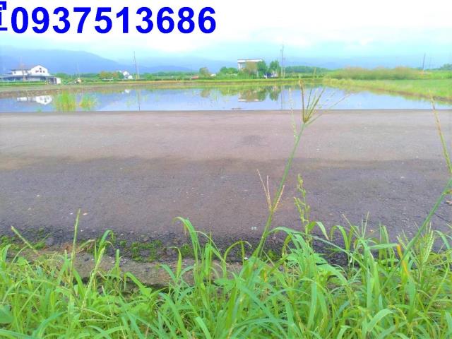 宜蘭三星農地-6