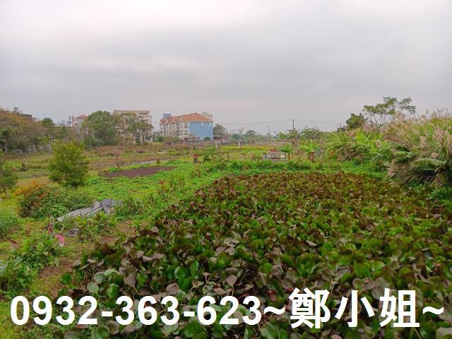 大溪農地-7