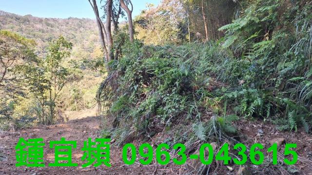 新竹山坡地-5