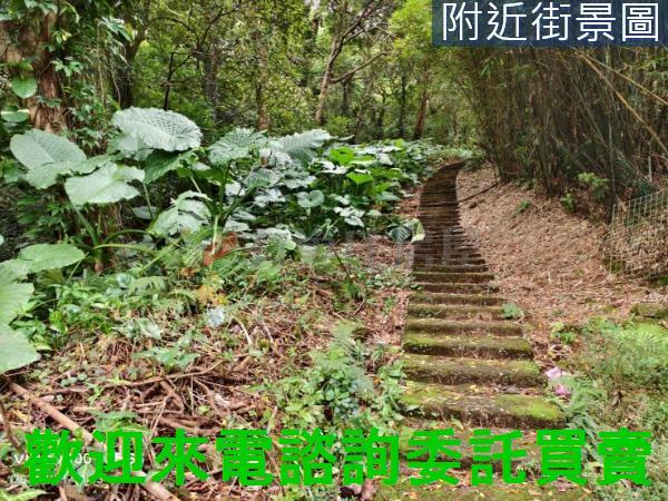 淡水建地-8