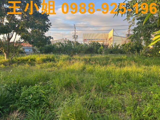 桃園蘆竹農地-12