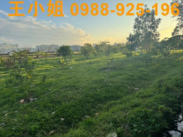 桃園蘆竹農地-15