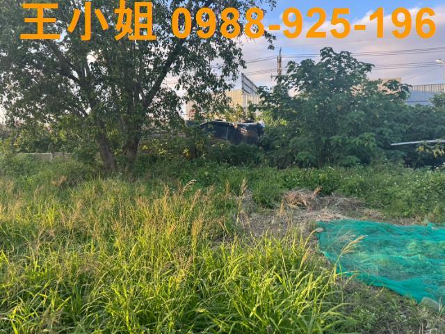 桃園蘆竹農地-5