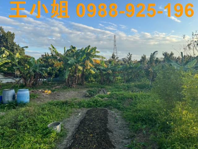 桃園蘆竹農地-7