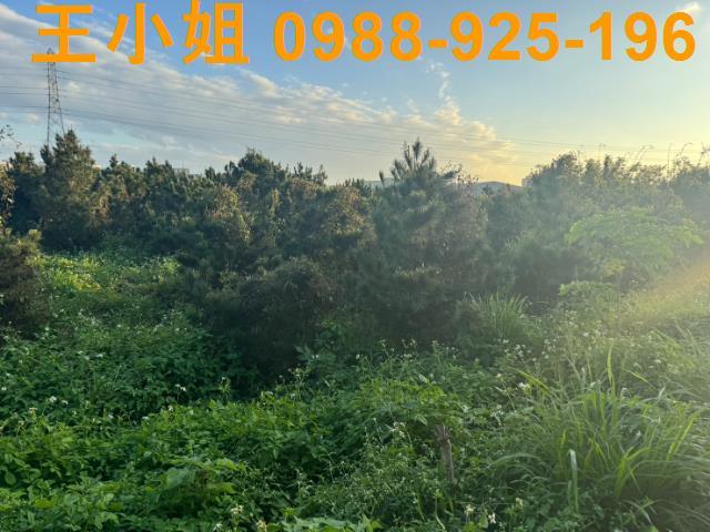 桃園蘆竹農地-8