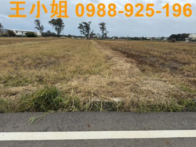 桃園新屋農地-7