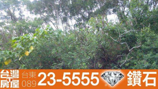 台東台東市農地-8