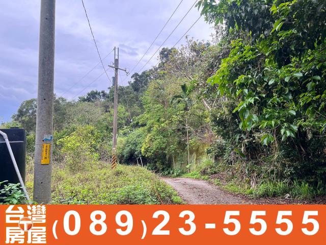台東台東市農地-4