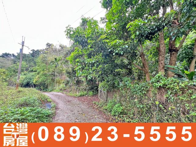 台東台東市農地-7