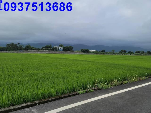 宜蘭礁溪農地-14