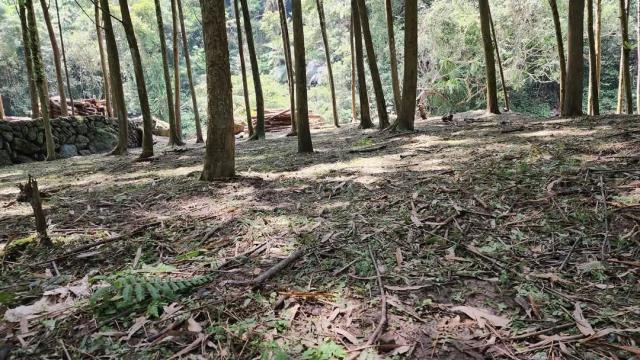 新竹農地-4