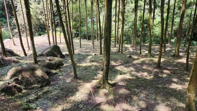 新竹農地-6