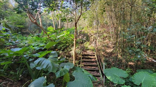 北埔農地-3