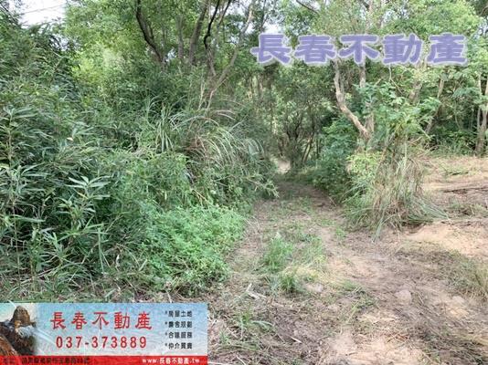 苗栗市農地-1