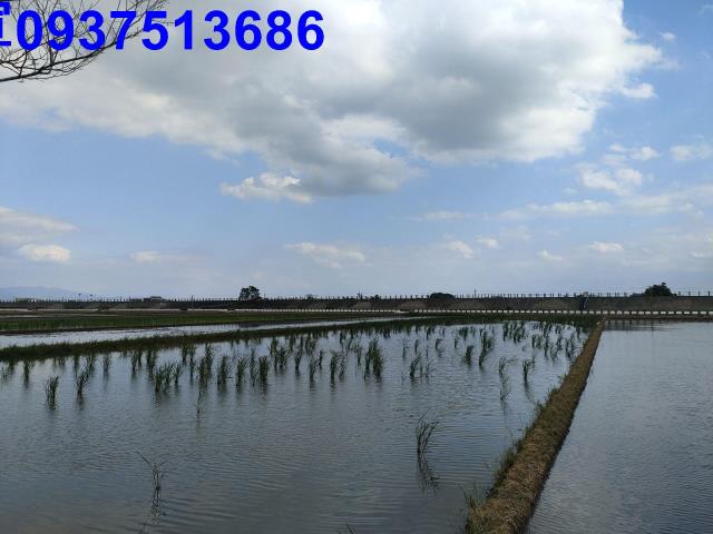 宜蘭壯圍農地-5