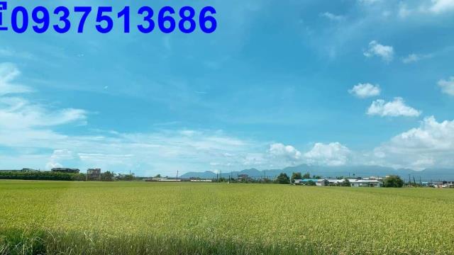宜蘭礁溪農地-6
