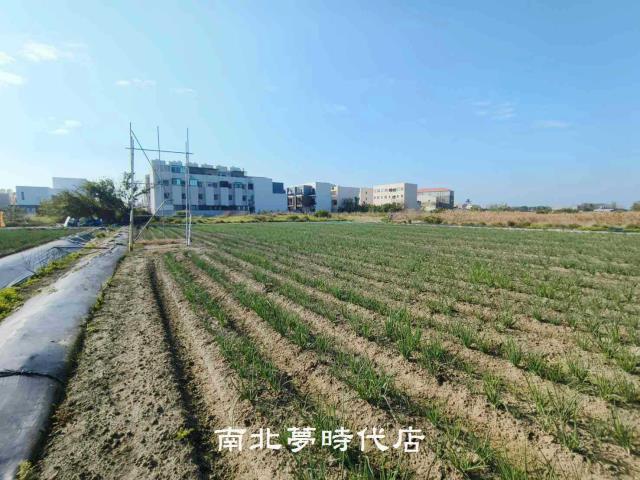 安南農地-5