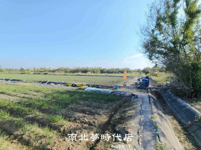 安南農地-8