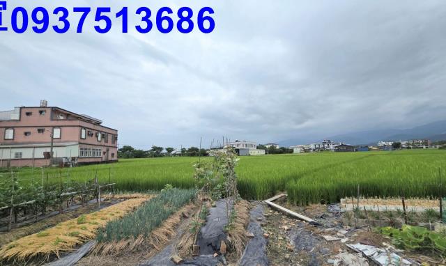 壯圍農地-2