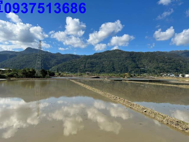 頭城農地-7
