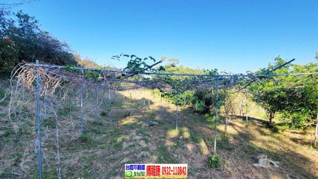 苗栗農地-13