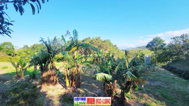 苗栗農地-9
