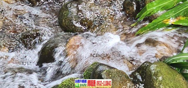 新竹農地-11