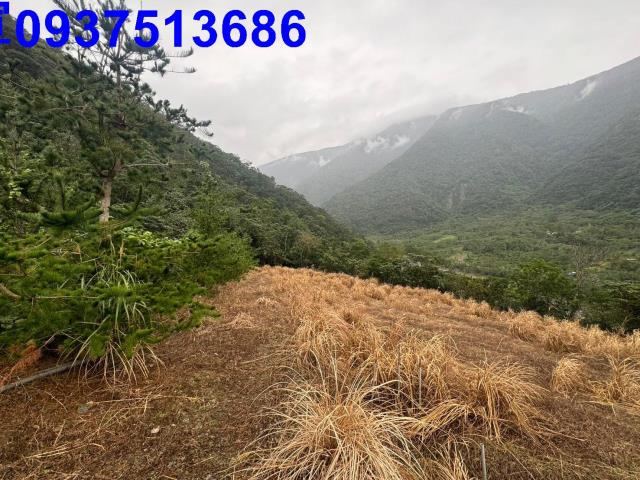 宜蘭南澳農地-5