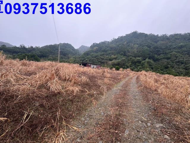 宜蘭南澳農地-3